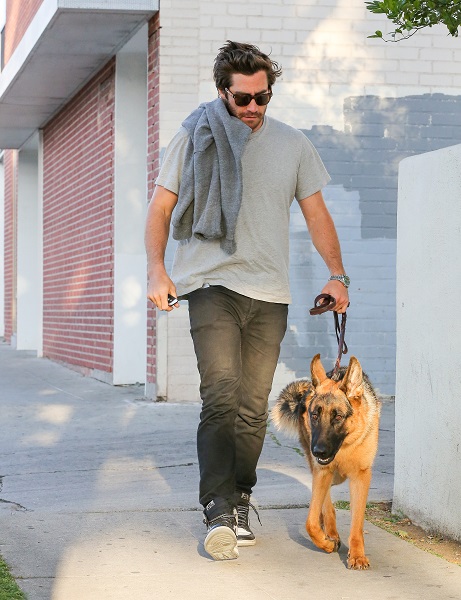 Jake Gyllenhaal With His German Shepherd, Atticus