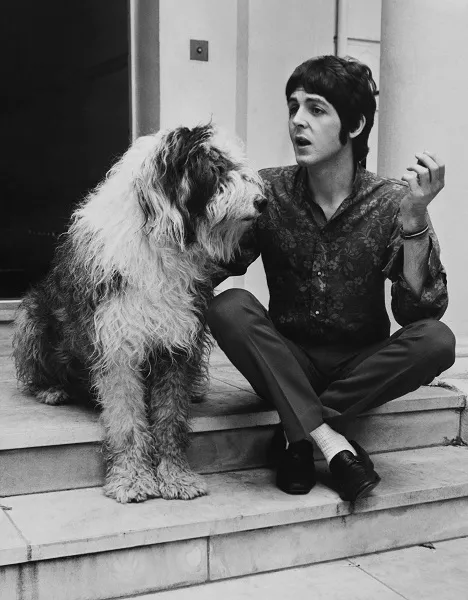 Paul McCartney Of The Beatles With His Dog, Martha, In 1967
