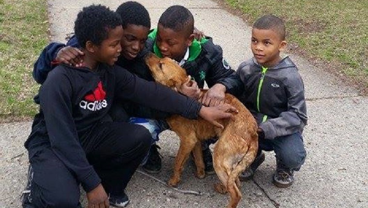 Four Boys Rescue A Dog Who Was Abandoned And Tied To A Vacant House