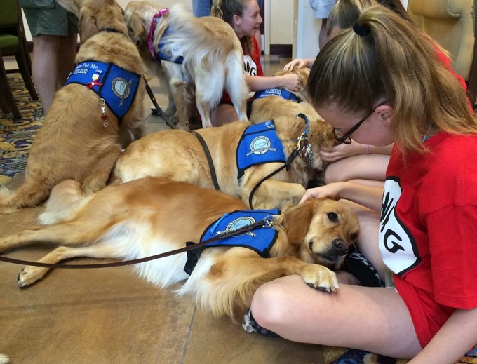 Comfort Dogs Fly In From Across The Country To Help Orlando Shooting Survivors