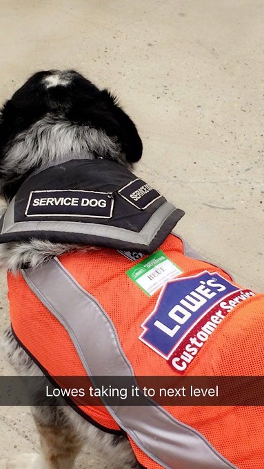 Lowes Makes Adorable Vest And Name Tag For Employee’s Support Dog