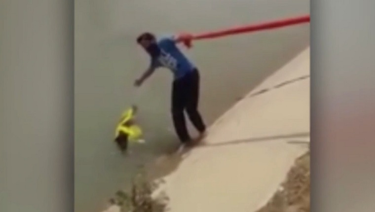 Sikh Man Saves Drowning Dog With Turban