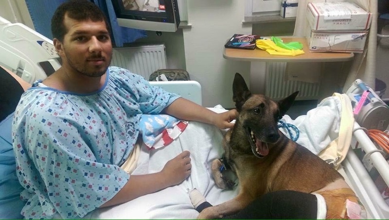 Soldier And His Military Dog Reunited After Being Injured In Afghanistan