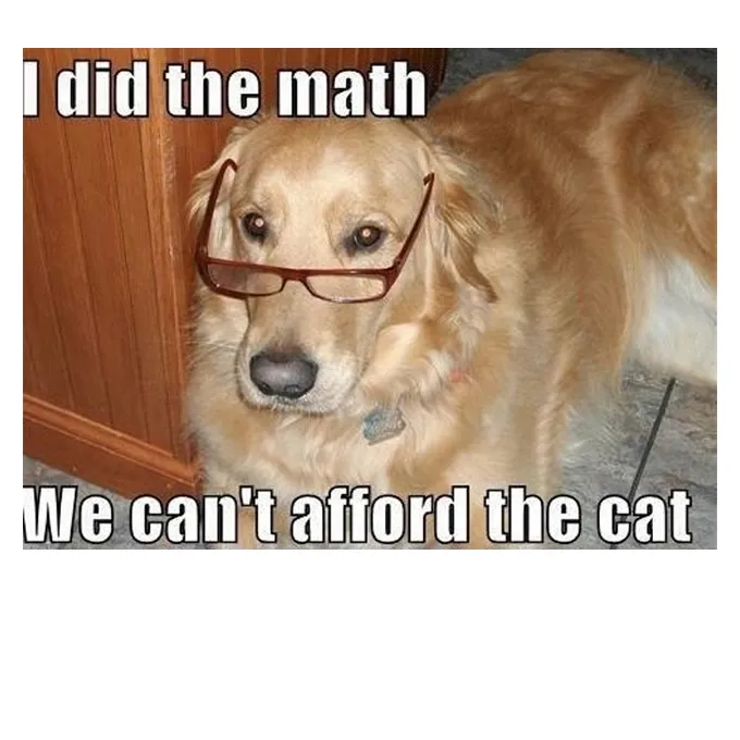 45 Funny Dog Memes 2 #7