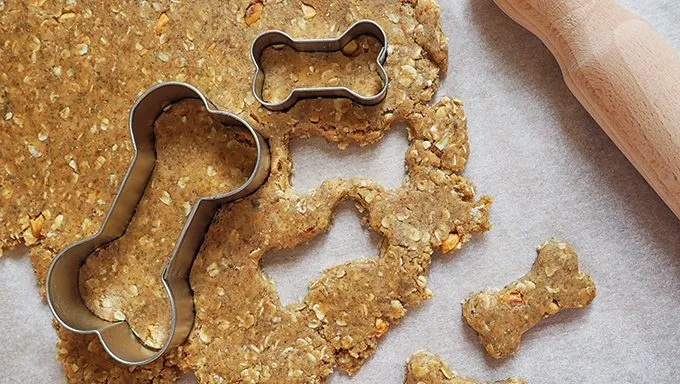 Spoil Your Dog With Homemade Treats