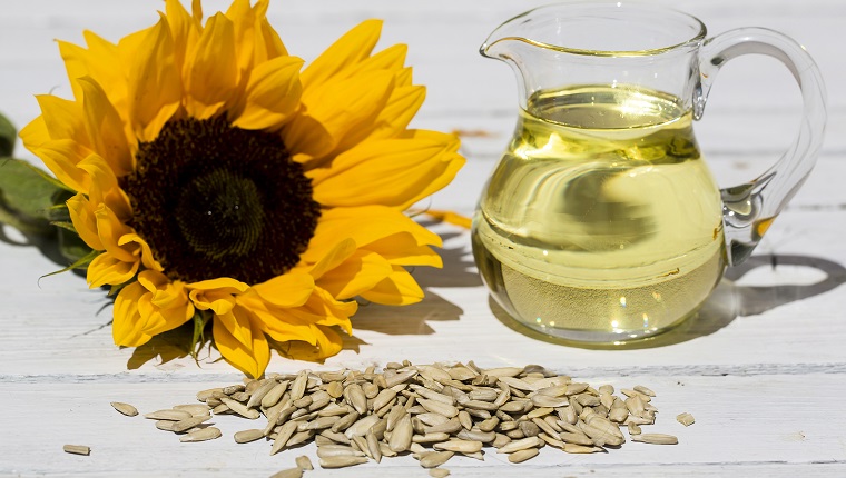 Sunflower Oil For A Shiny, Healthy Coat