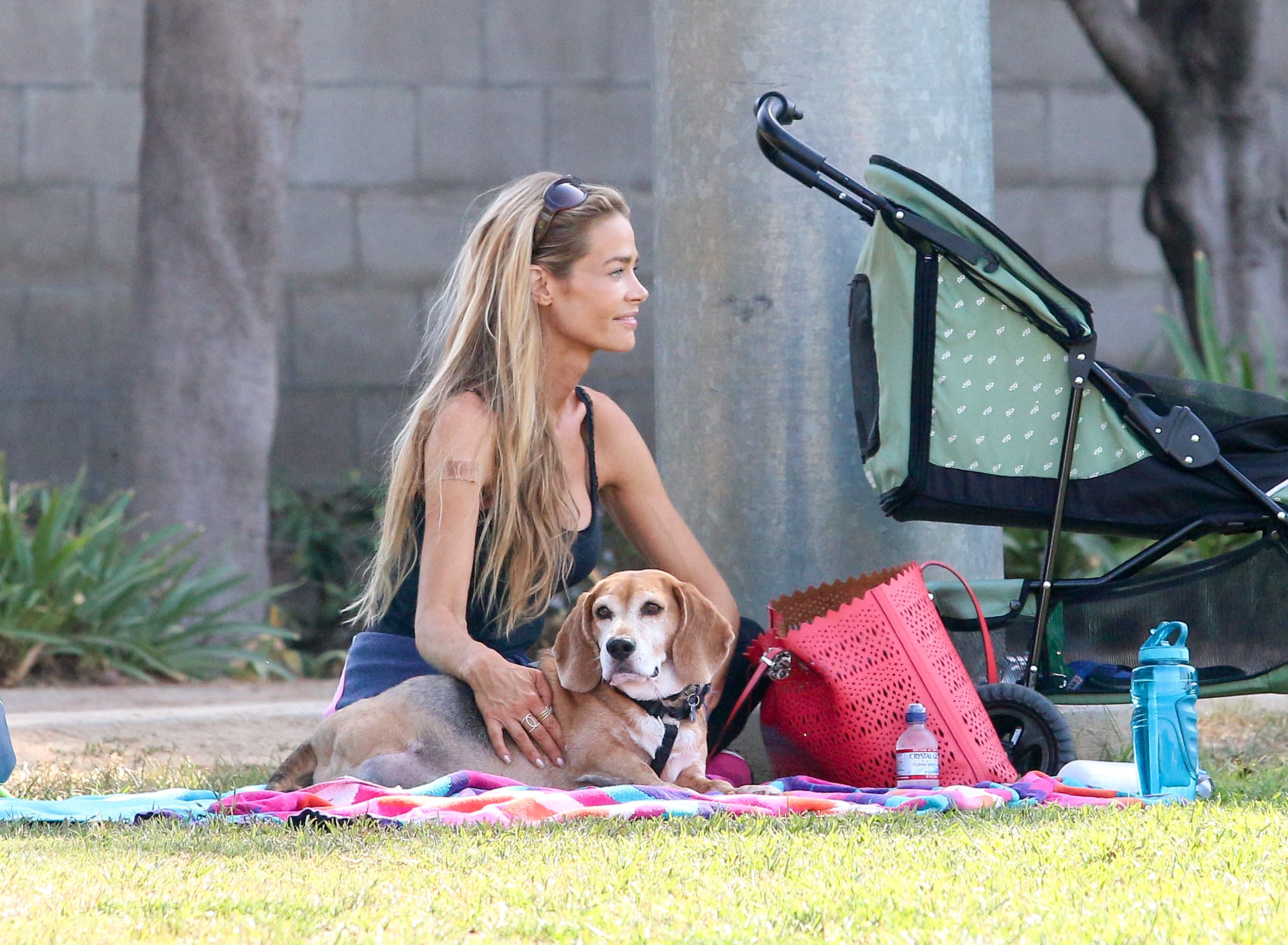 Denise Richards Relaxing With Her Pooch