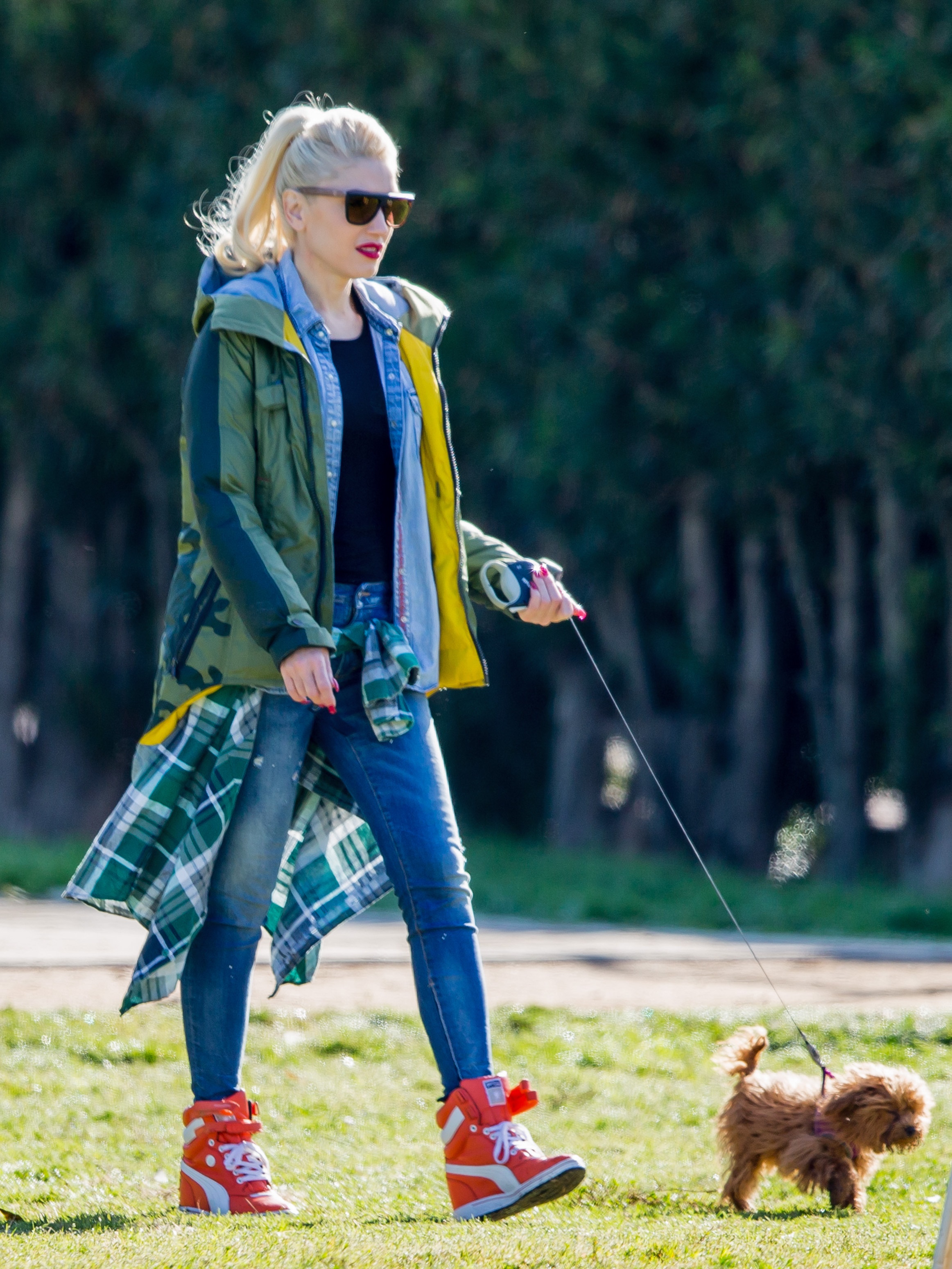 Gwen Stefani Heading To The Dog Park