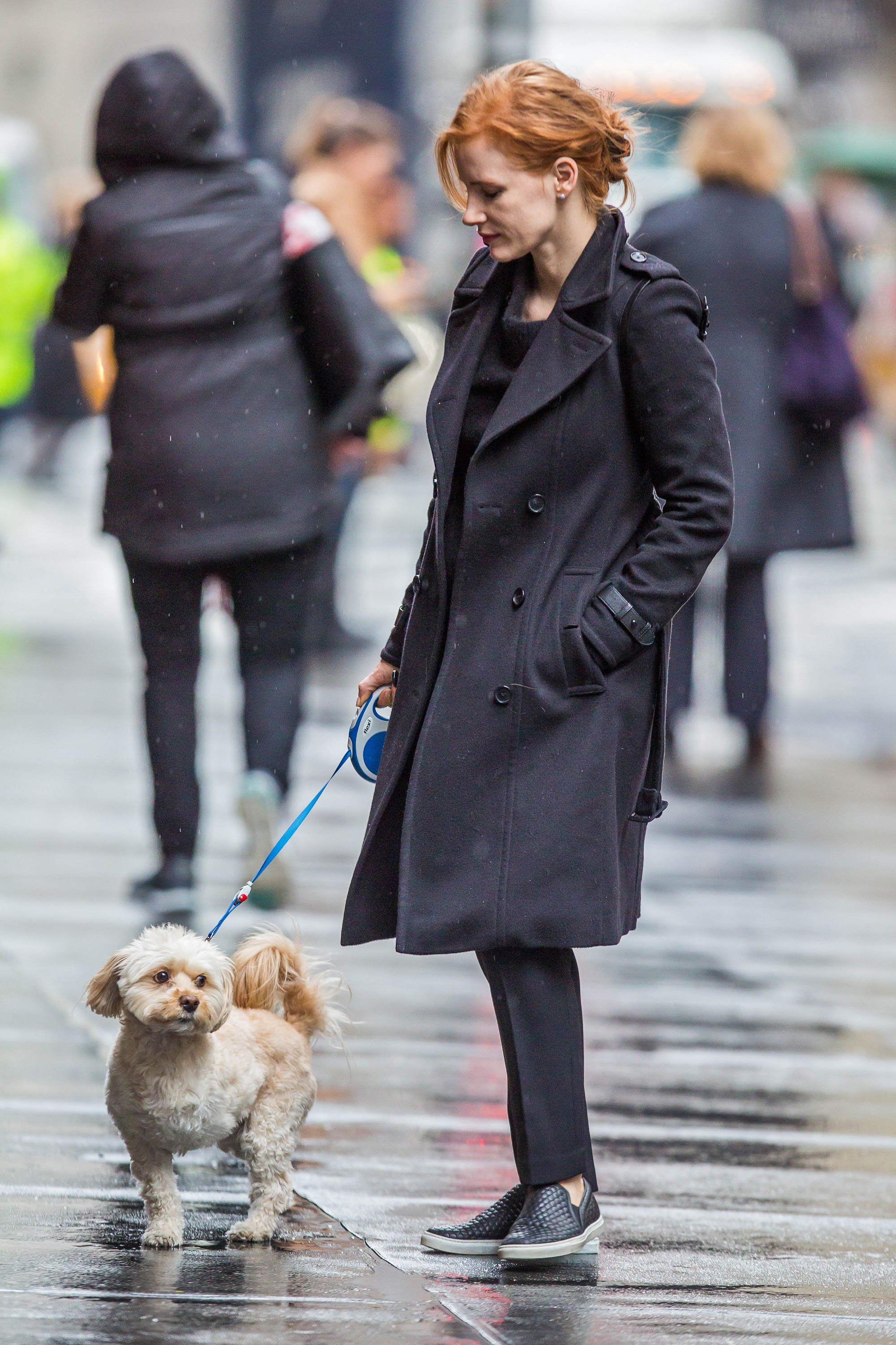 Jessica Chastain And Her Three-Legged Pup, Chaplain