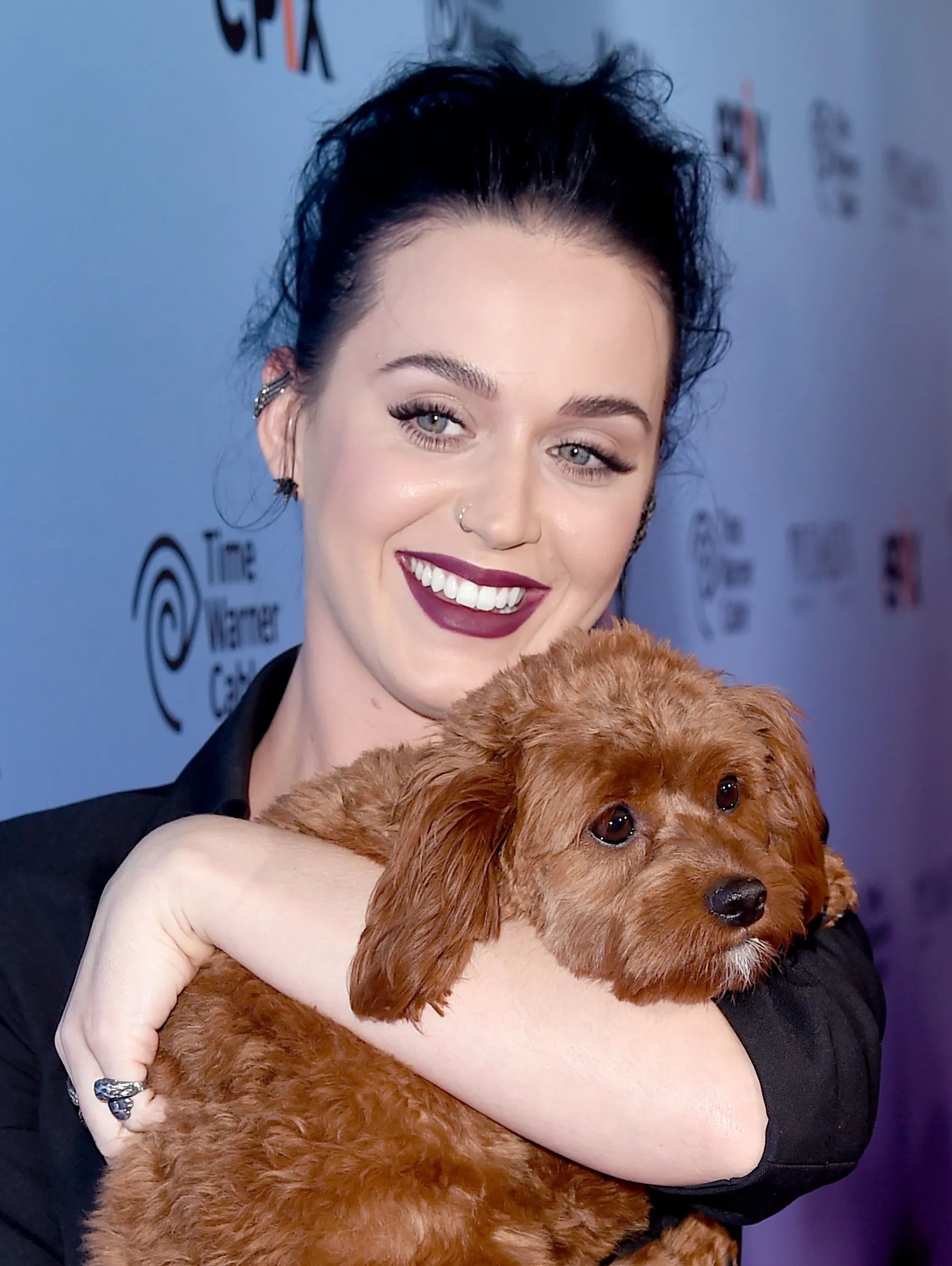 Katy Perry Showing Off Her Dog, Butters