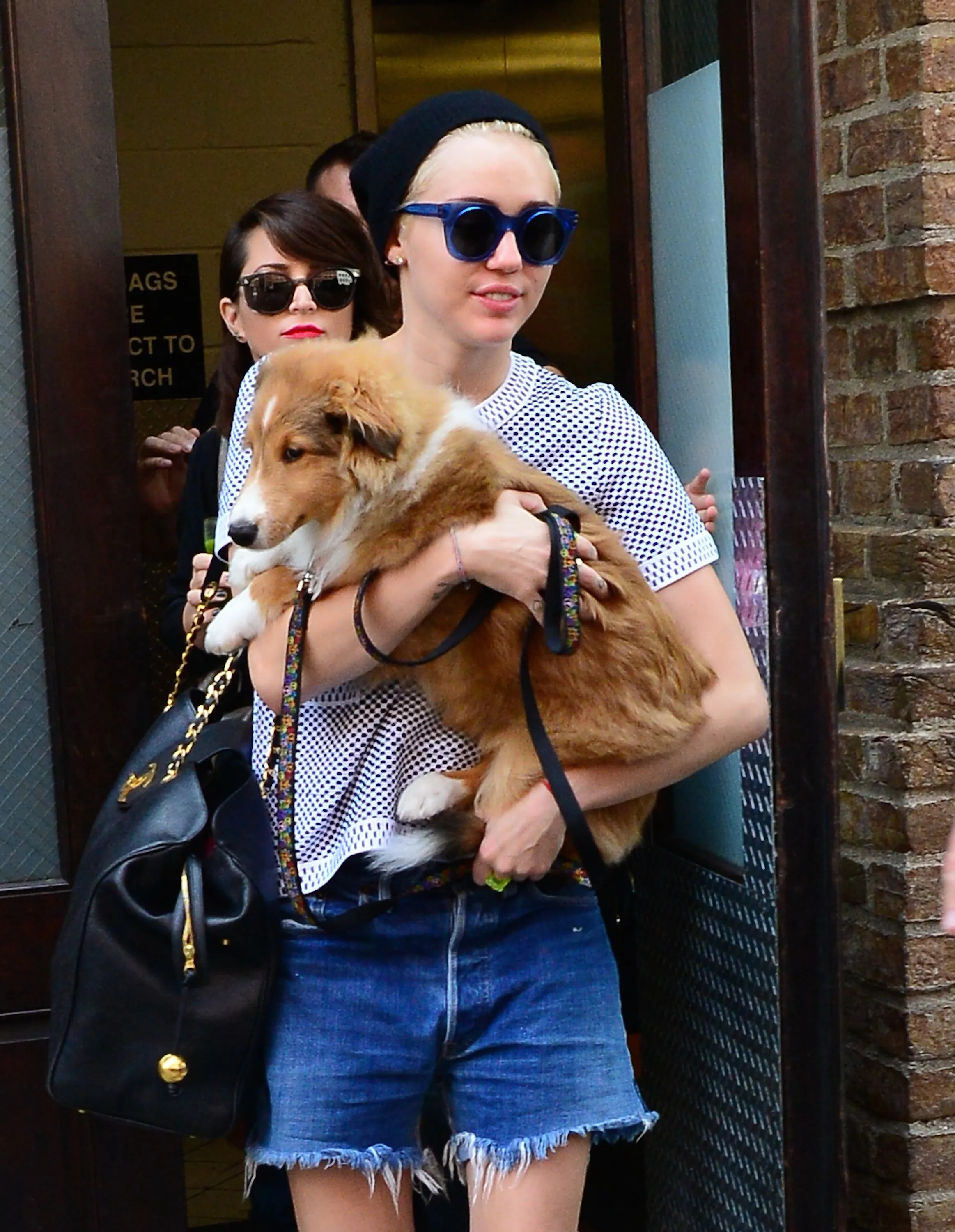 Miley Cyrus And Her Pup, Emu