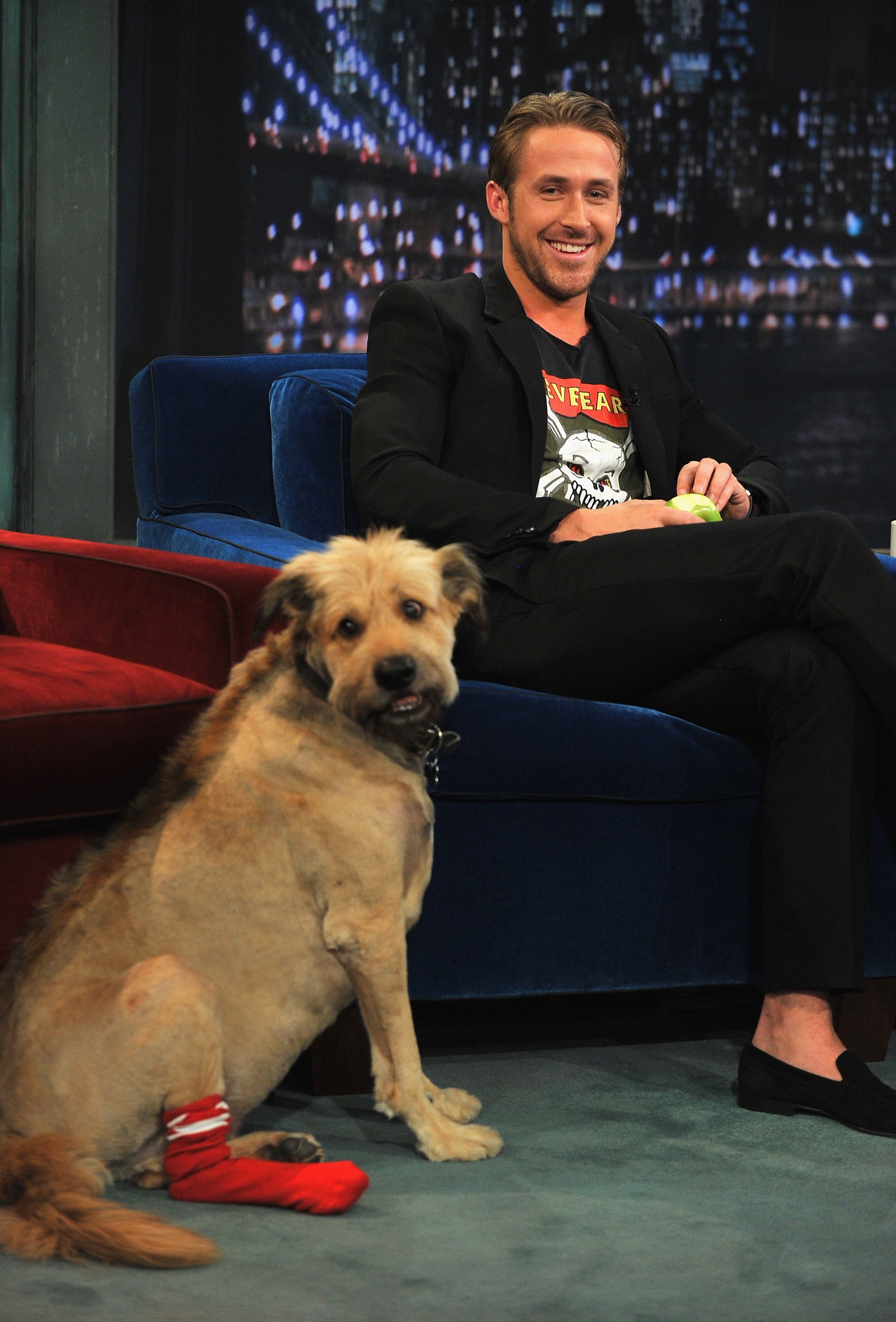 Ryan Gosling And His Dog, George