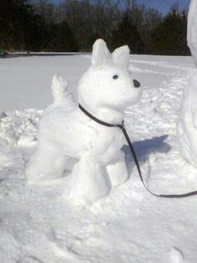 Snowdog on a walk!