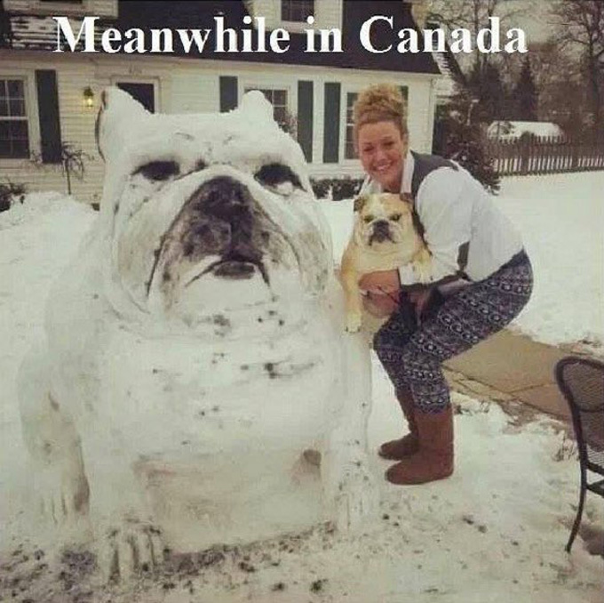 Meanwhile in Canada!