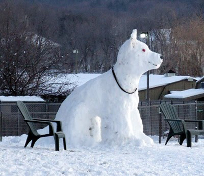Huge Snowdog!