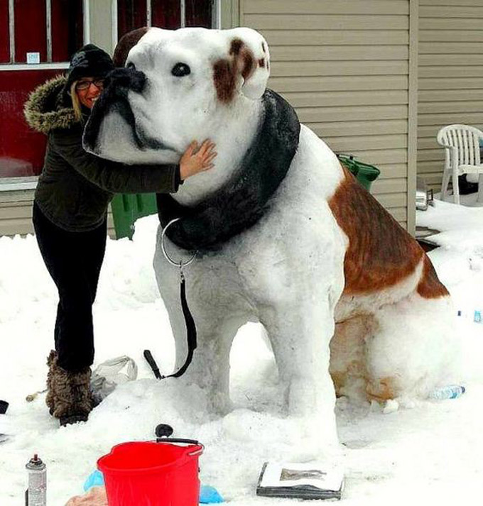 Snowdog Bulldog