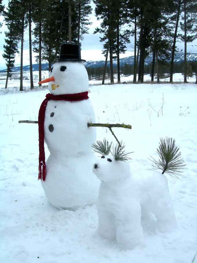 Snowman And Dog On A Walk