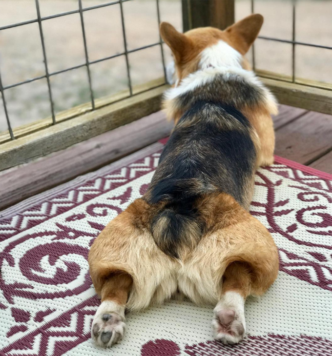 Splooting From The Back