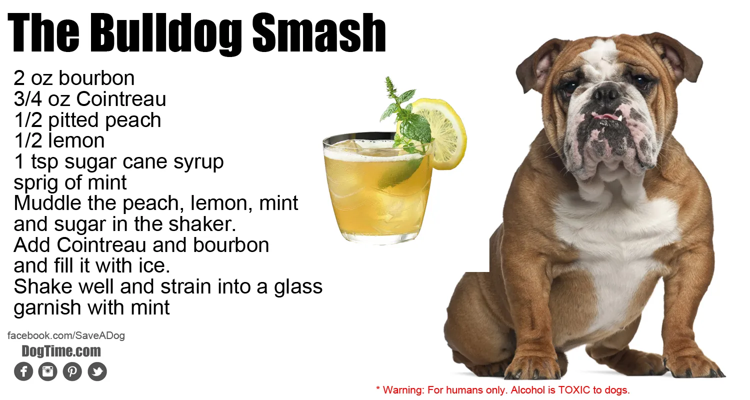 Bulldog Smash Cocktail Recipe