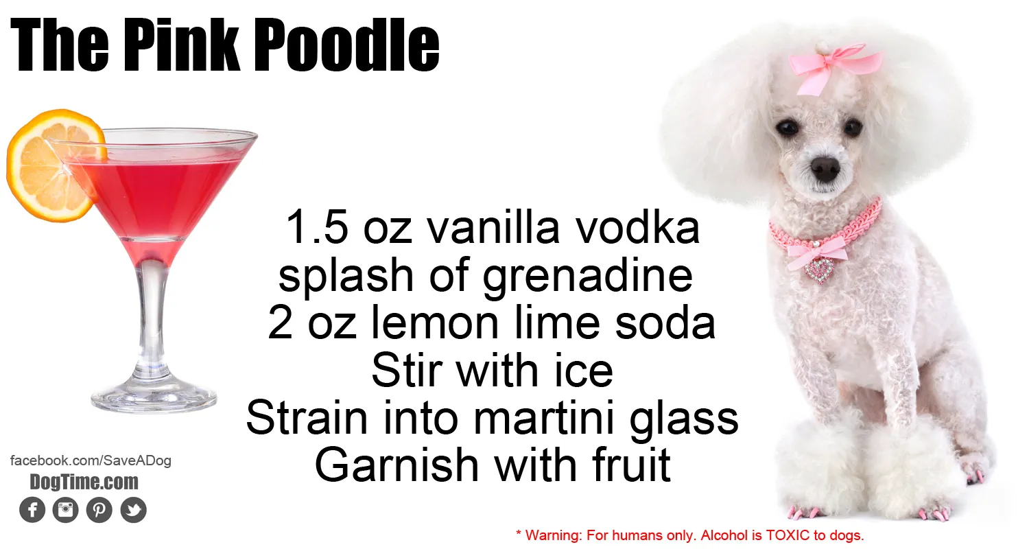 Pink Poodle Cocktail Recipe