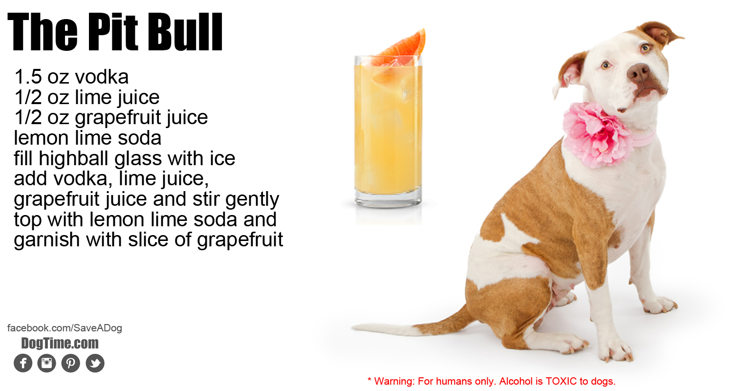 Pit Bull Cocktail Recipe