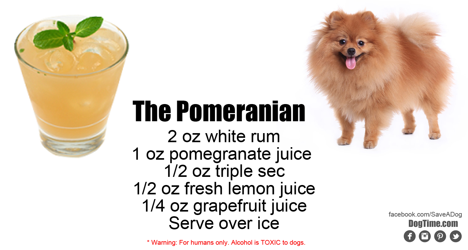 Pomeranian Cocktail Recipe