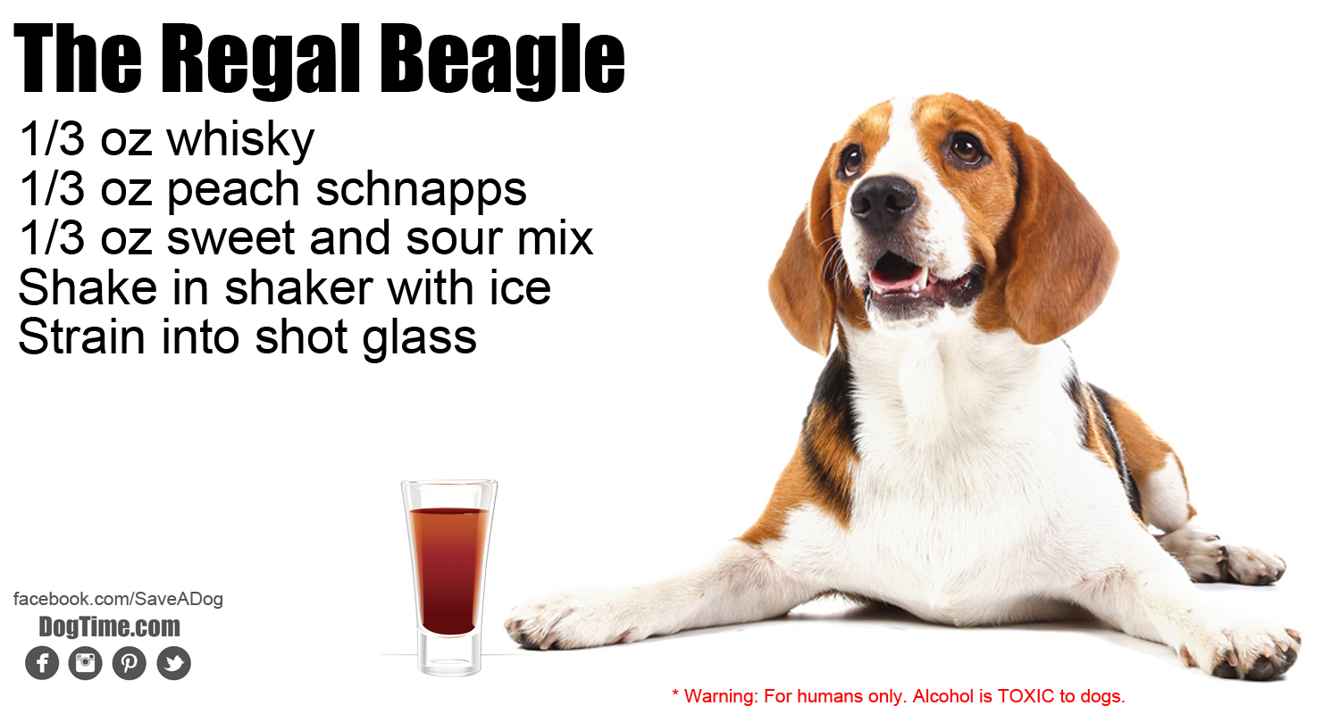 Regal Beagle Cocktail Recipe