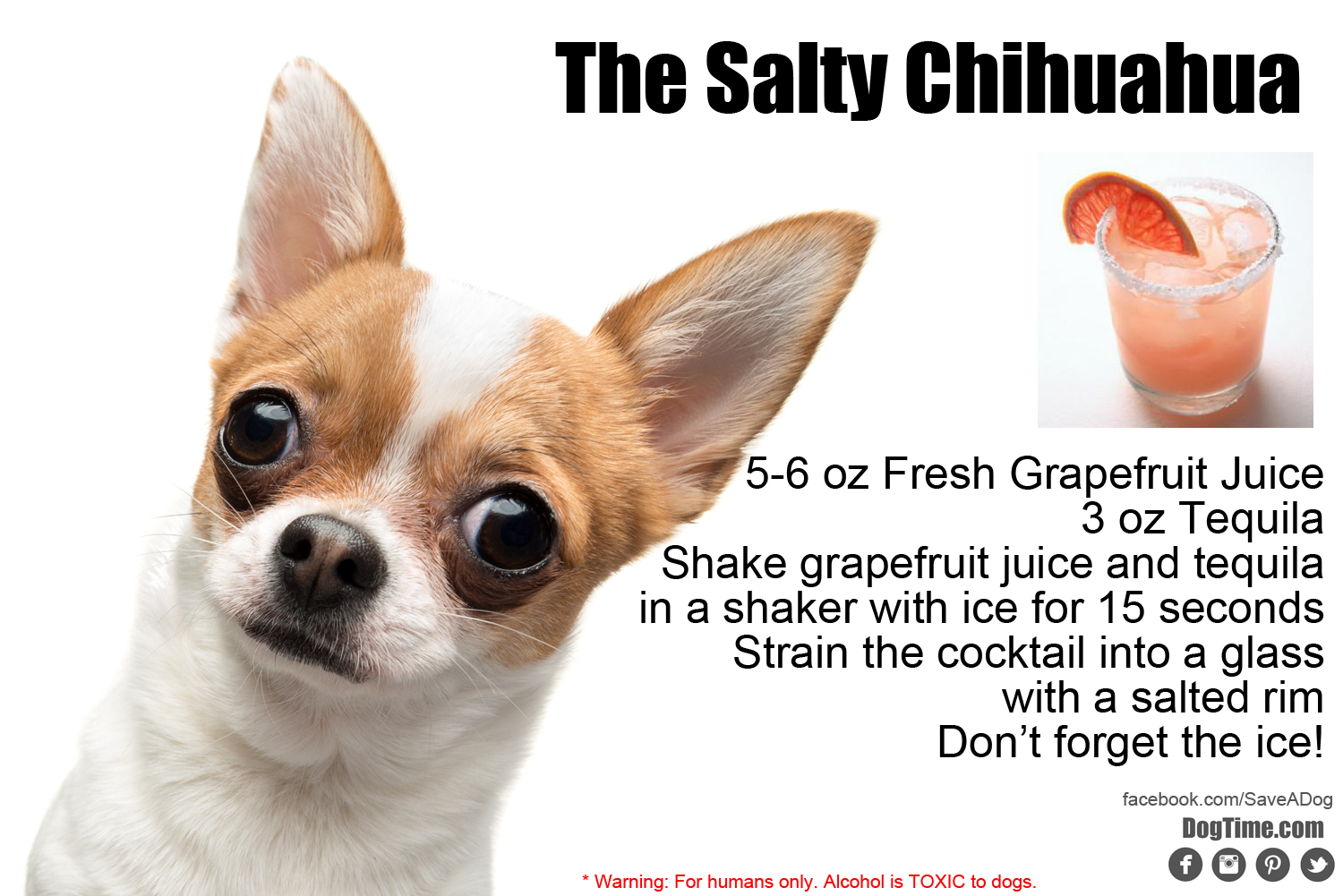 Salty Chihuahua Cocktail Recipe