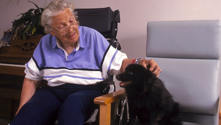 Therapy Dog Handler