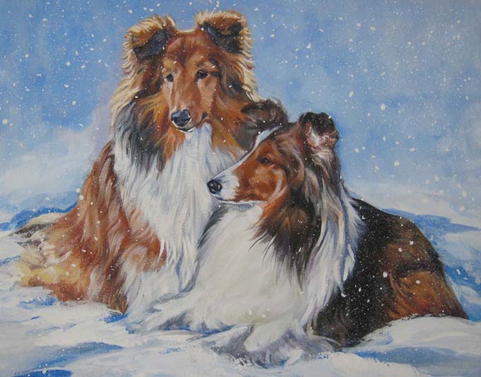 Shetland Sheepdog Canvas Print 