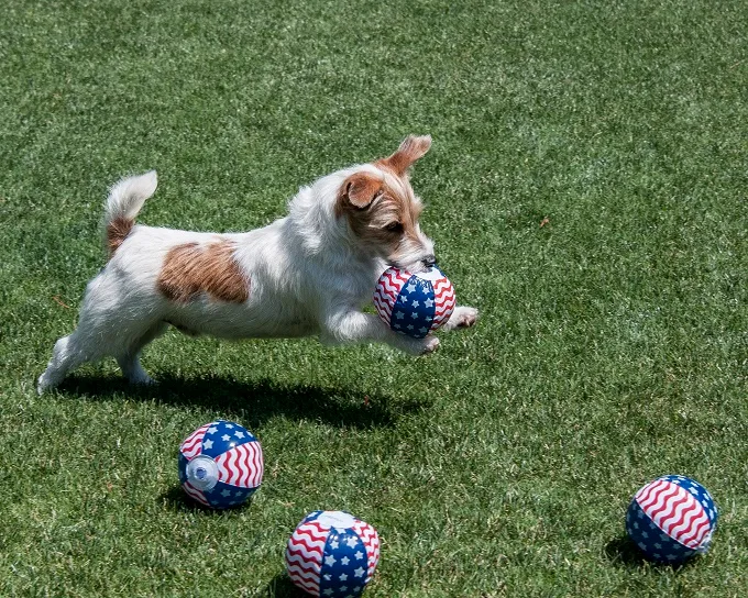 I love ball! And the USA!