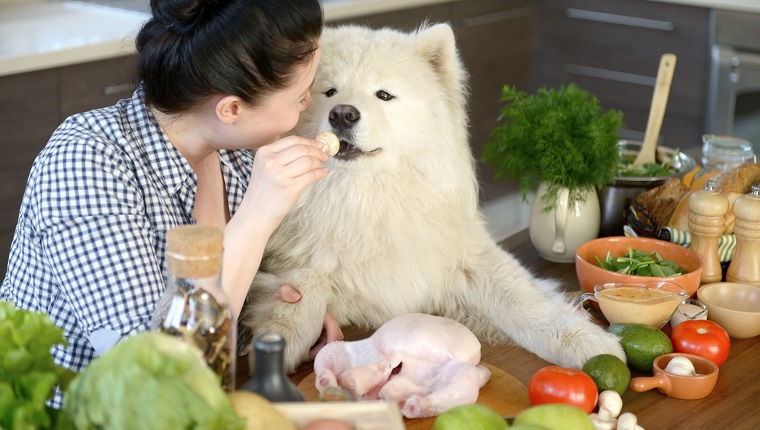 Make Your Dog A Home Cooked Meal!