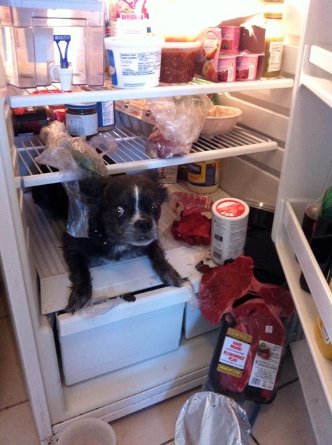 You, uh, want anything from the fridge?
