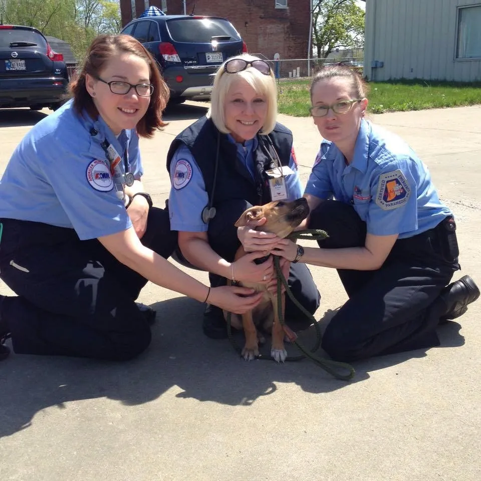 Stray Puppy Chases Down Ambulance And Catches A Forever Home