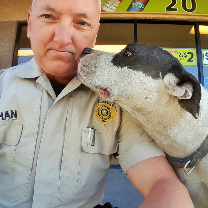 Police Officer Selfies With Lost Pit Bull Are Adorable