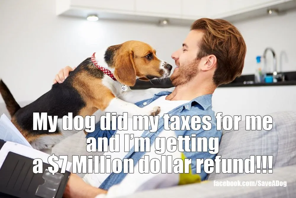 Dog Did My Taxes