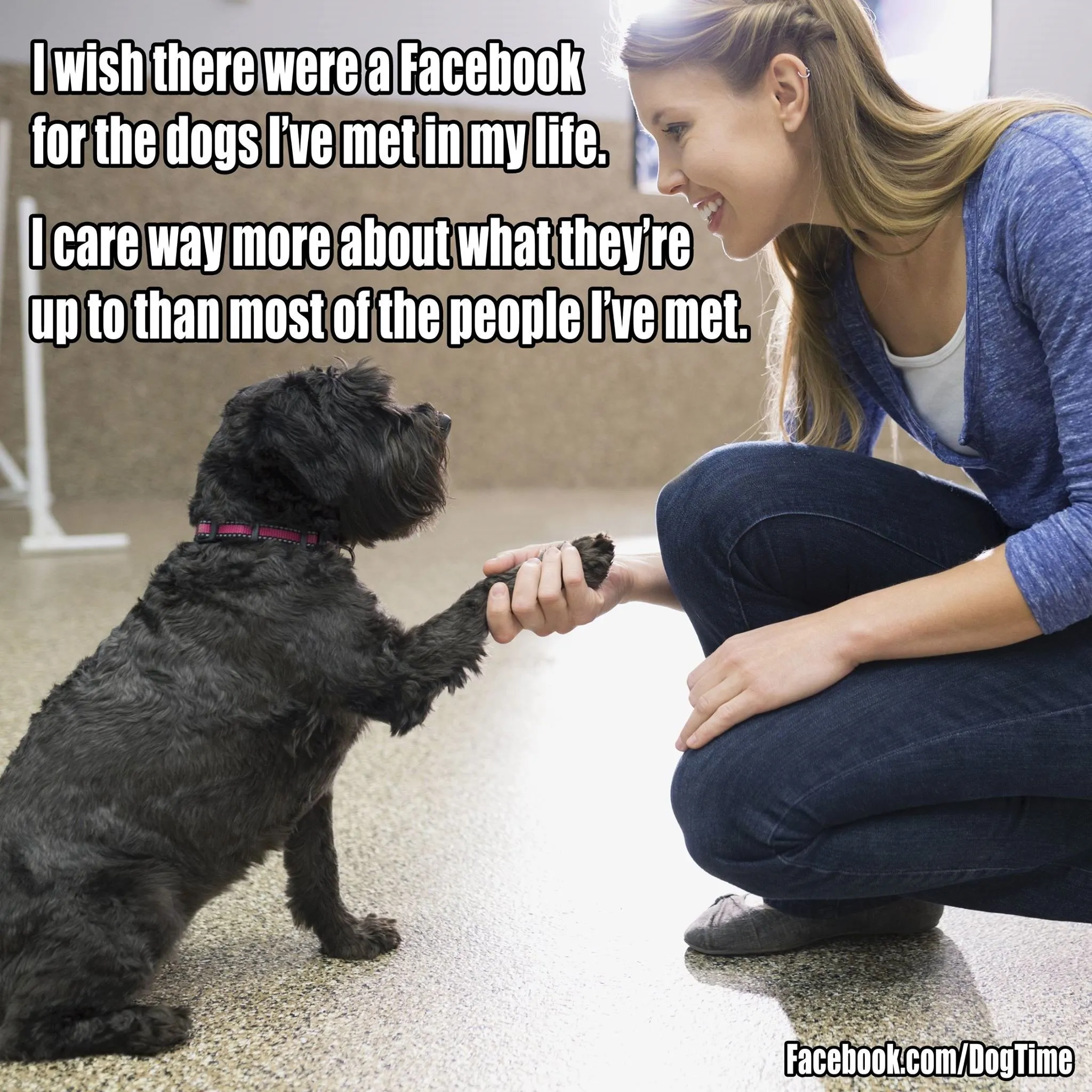 Facebook For Dogs