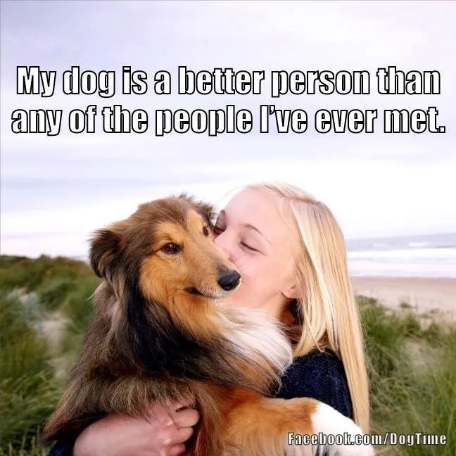 Dog Is A Better Person