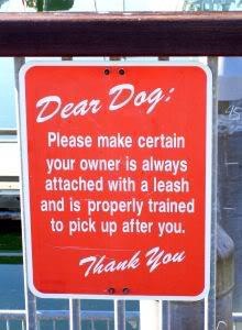 Dear dog...