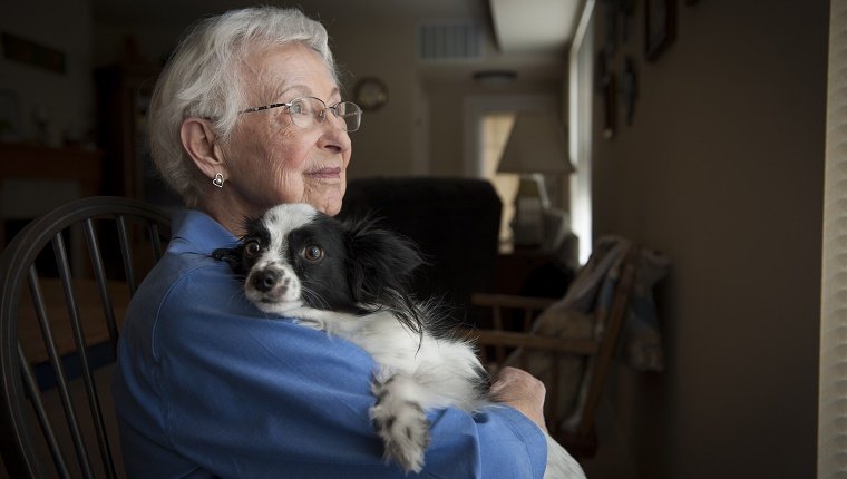 Picking Up Pets When Seniors Or Disabled People Can't Care For Them Any More