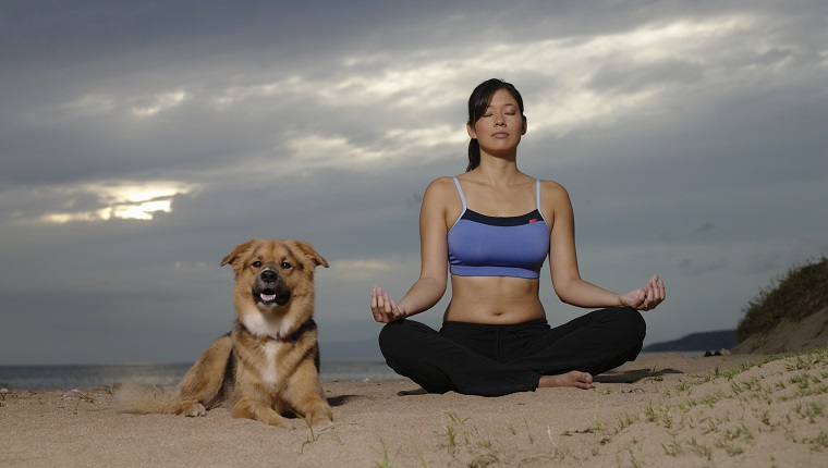 Meditation With Your Pup